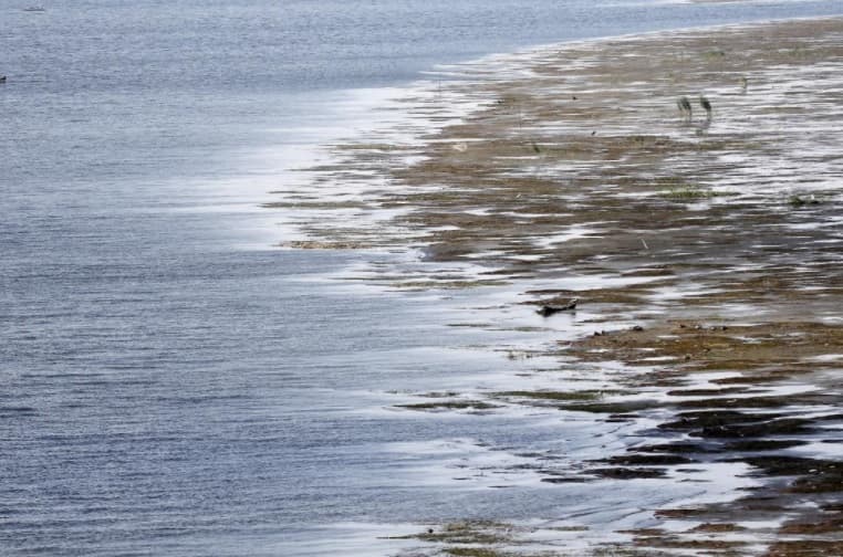 Tragedy at the Nile – father drowns in attempt to save son’s life
