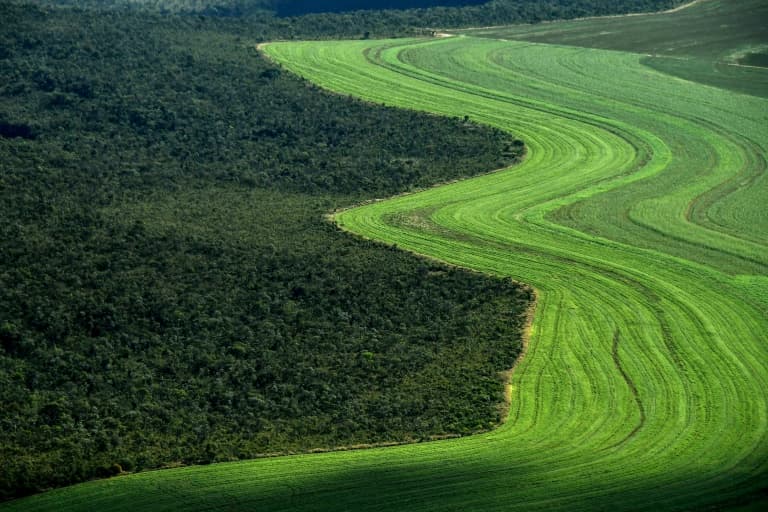 PM: Agricultural sector witnesses unprecedented quantum leap in line with state’s vision