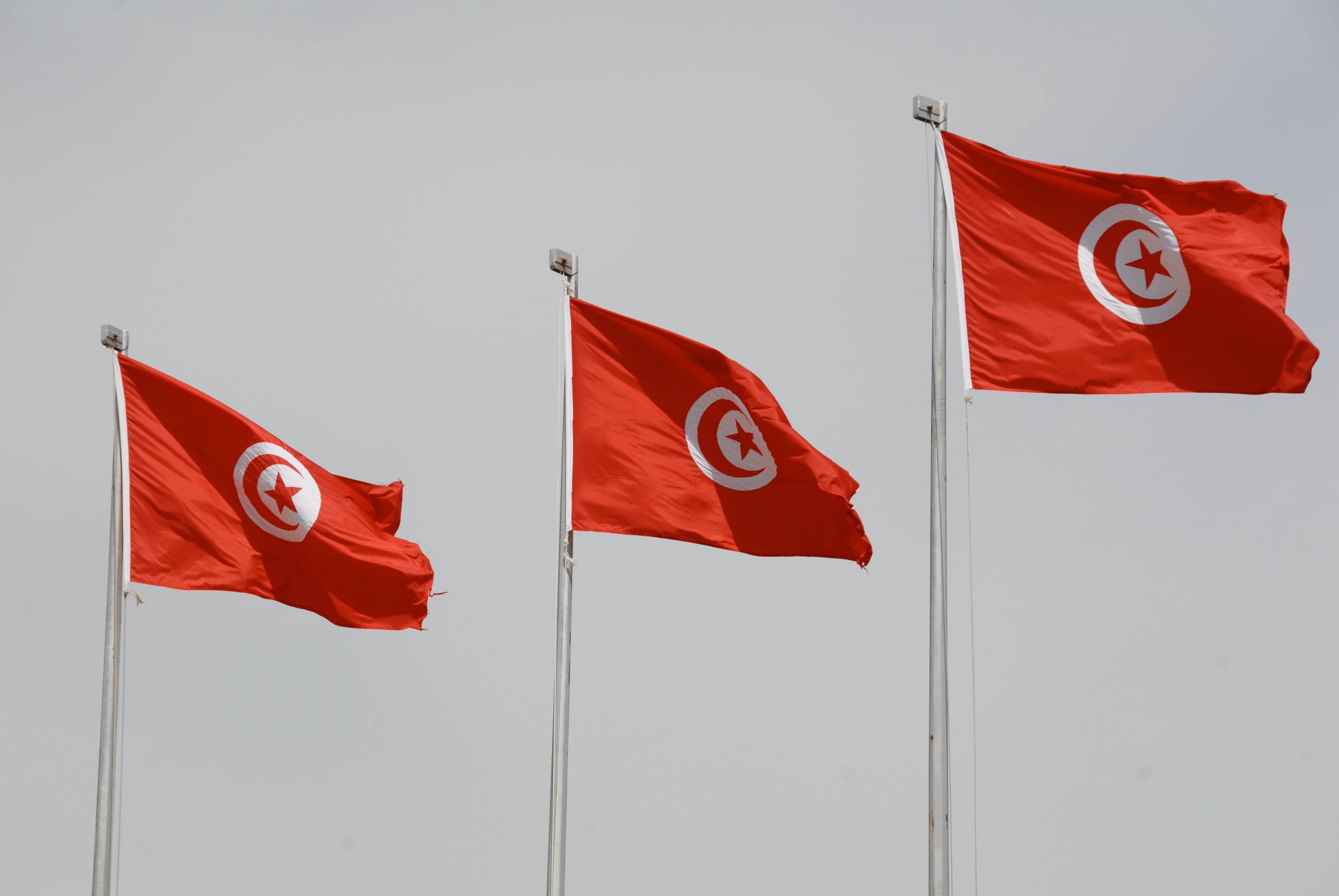 Egyptian, Tunisian FMs hail bilateral relations and regional coordination