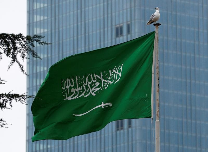 Cairo, Riyadh discuss cooperation in mining training, expertise exchange