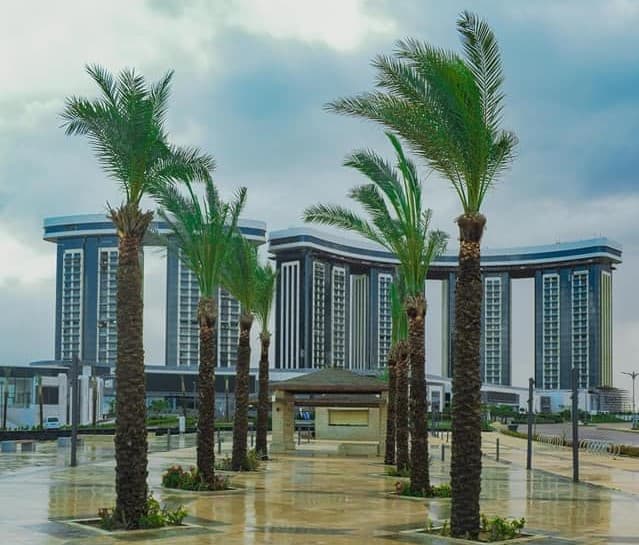 PM reviews plans for two $5bn medical cities in New Capital, New Alamein