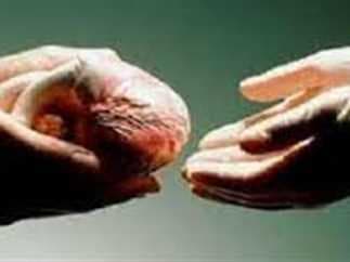 Proposal to harvest organs from Egypt’s death-row inmates sparks controversy
