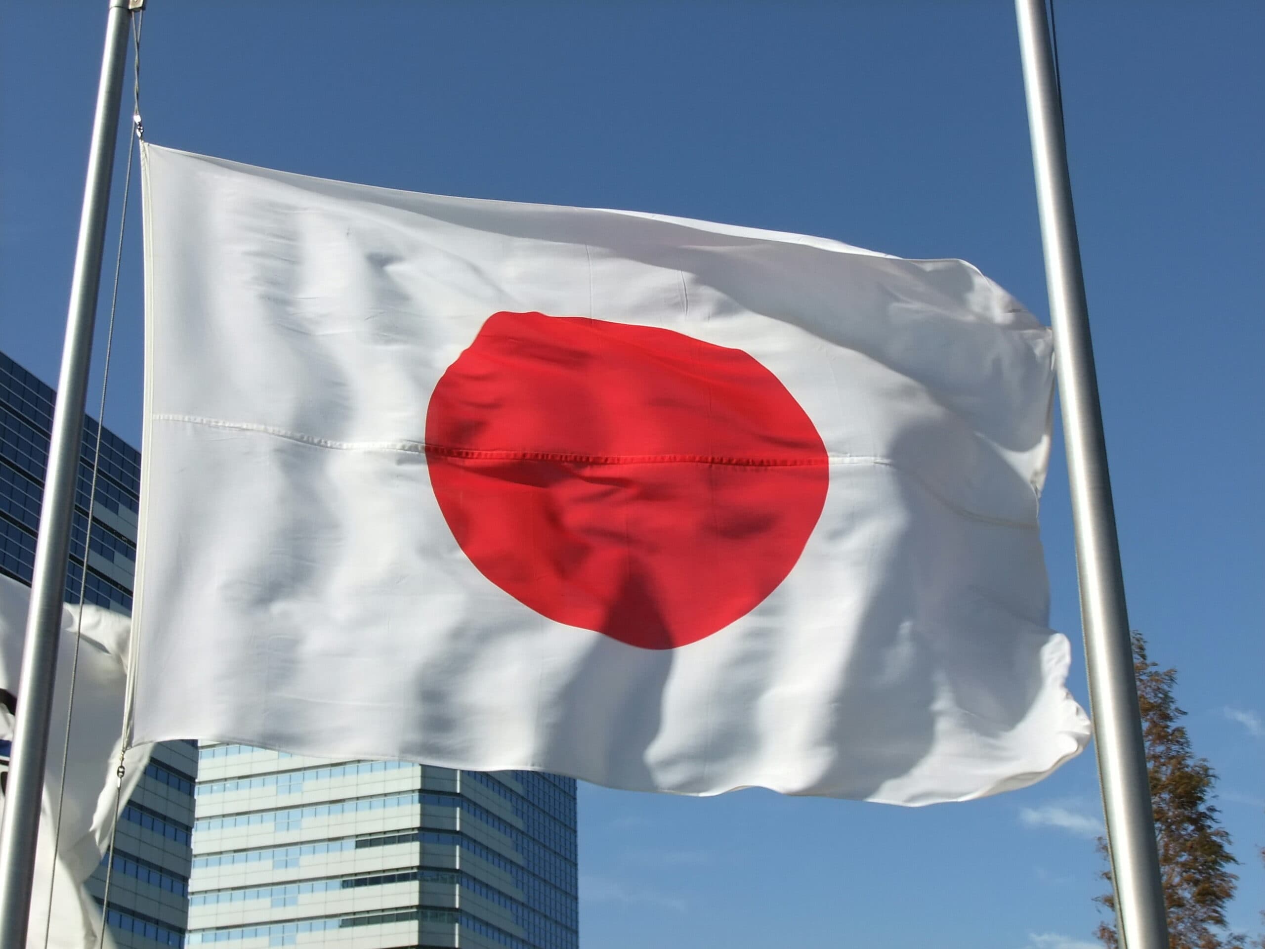 Egypt, Japan discuss expanding education projects