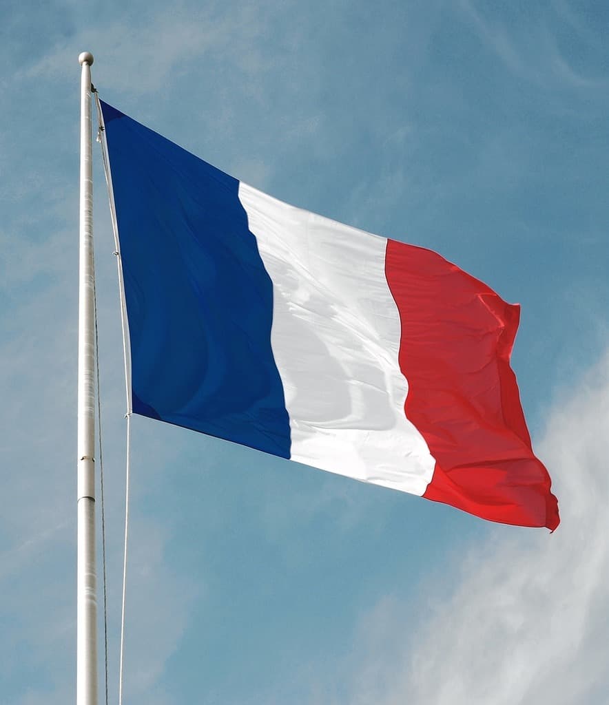 Egypt, France mull boosting investments, exports