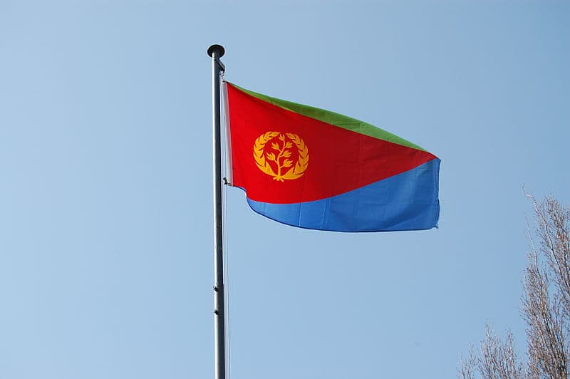FM: Egypt ready to provide Eritrea with technical support, training in needed areas