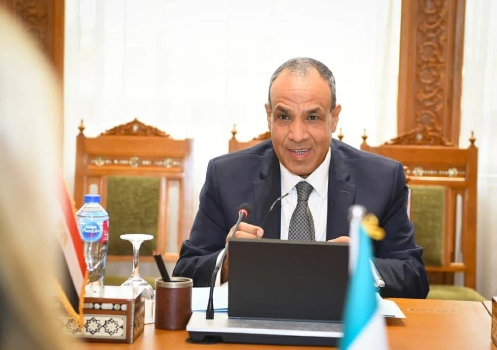 No country can impose its will on the region, Egypt’s FM stresses
