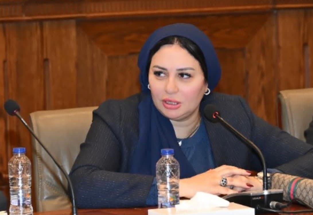 Egyptian MP proposes replacing ‘housewife’ on national ID with ‘generation maker’