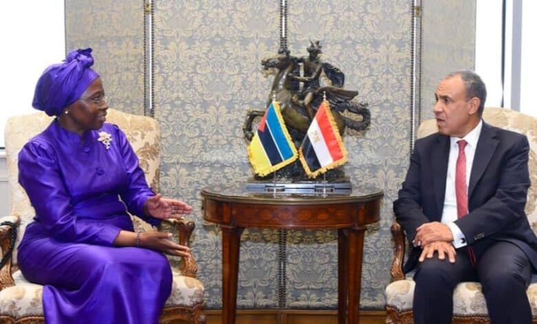FM: Egypt offers development expertise to deepen cooperation with Mozambique