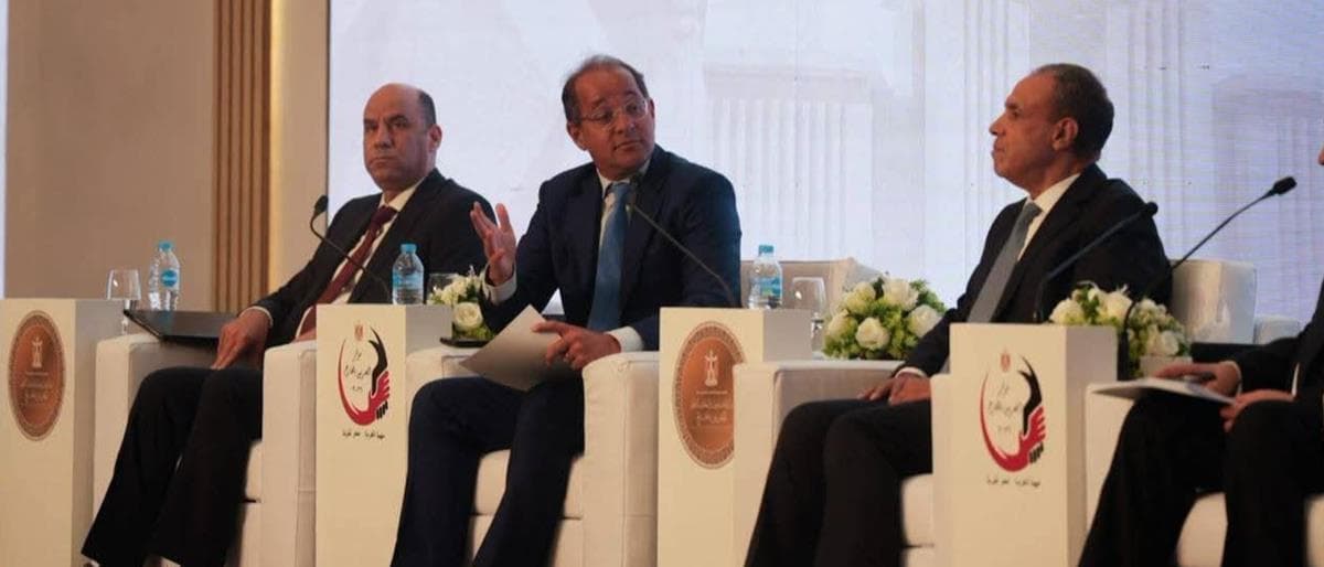 Finance Minister: Egypt to launch investment fund for expats next year