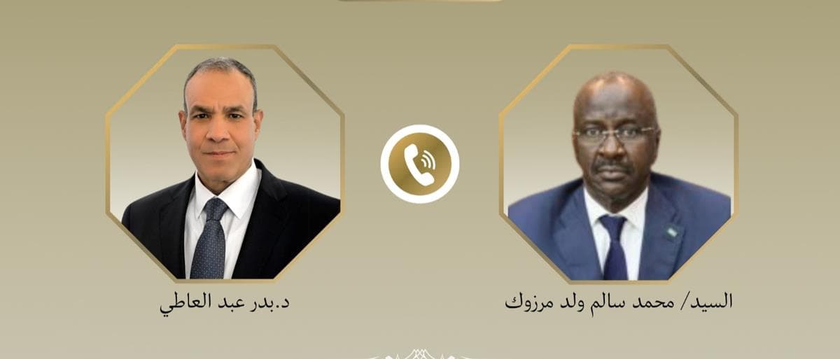 Egyptian FM, Mauritanian counterpart discuss cooperation, regional developments