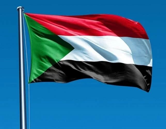 Sudan arrests perpetrator of shooting incident which killed 2 Egyptians