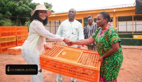Ewurabena Aubynn turns nkoko nkitinkiti into long-term farm project