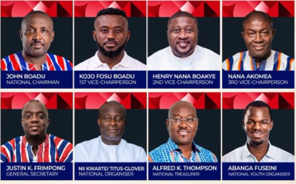 FULL LIST: See the winners of NPP elections to lead the party in the 2028 elections