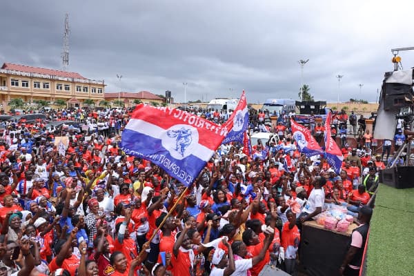 Make presidential candidate leader of party, not national chairman - NPP members