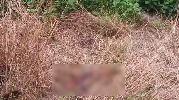 Day-old baby girl found abandoned in plantain farm at Offinso-Awisam