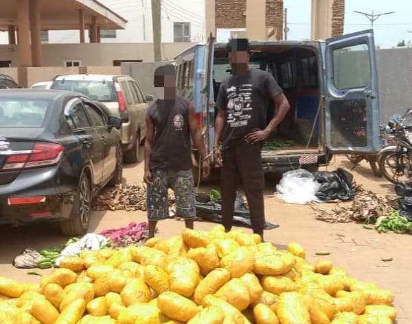 692 parcels of suspected Indian hemp seized at Dawhenya; two arrested