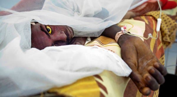 Calls for action intensifies as Yellow Fever cases hit 450