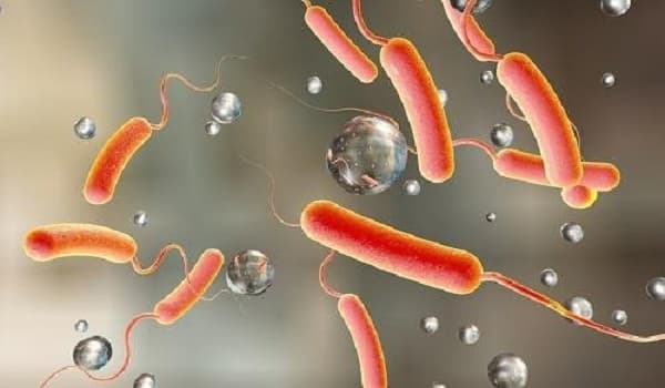 Ghana Health Service intensifies public education on Cholera in Keta