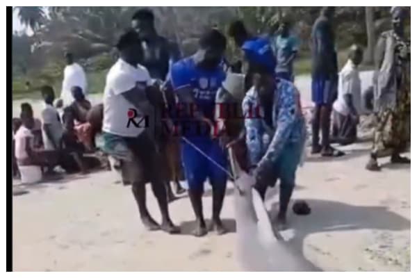 Watch as fishermen drag huge shark ashore after accidental catch
