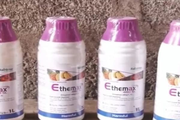 Woman arrested over sale of unapproved fruit-ripening chemicals