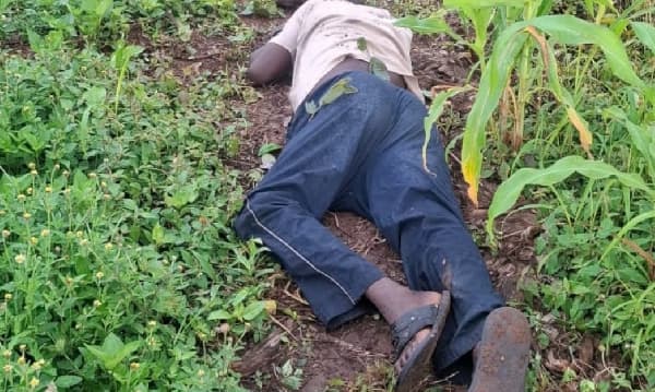 Yam theft suspect shot dead, farmer held in Oti Region