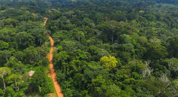 A Rocha Ghana defends claim that over 50 forest reserves face galamsey
