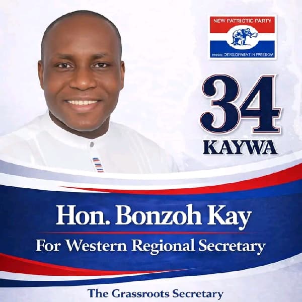 NPP Polls: Former Ellembelle DCE provides postgraduate certificate to challenge disqualification