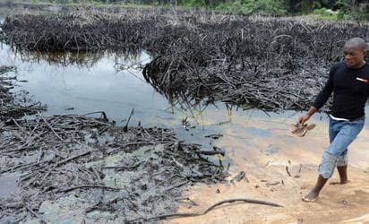 Insecurity, not oil resumption, major concern in Ogoni — OLI