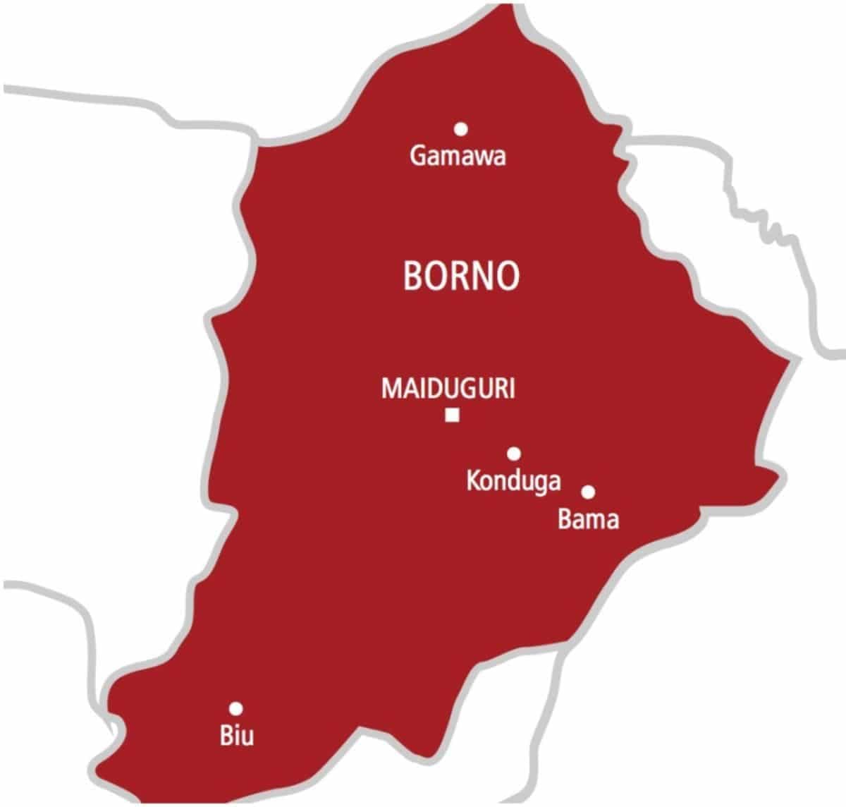 Troops foil terrorist infiltration, evacuate students after intelligence alert in Borno