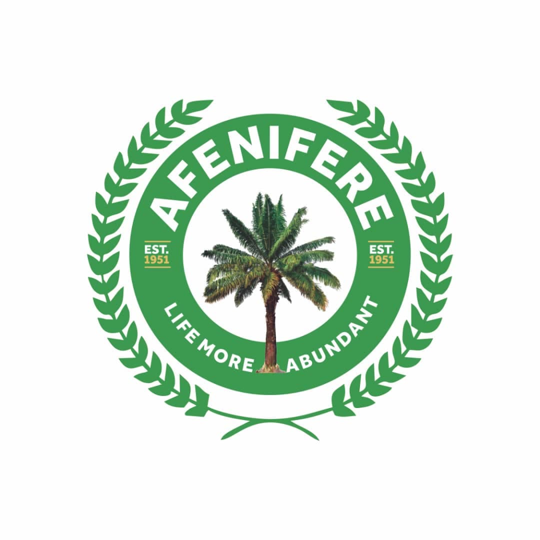 Lagos-Calabar Highway: We stand with Tinubu, but don’t bypass Ondo coast — Afenifere
