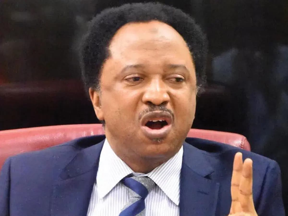 Legislative legacy not measured by number of motions, bills – Shehu Sani