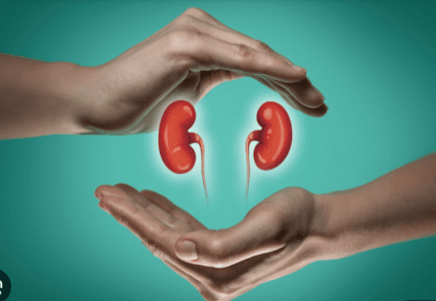 Kidney crisis: Rising cases, crushing treatment costs threaten Nigerians