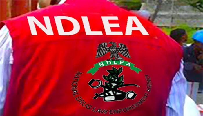 NDLEA declares drug kingpin, three associates wanted over meth lab, freezes ₦9.8bn accounts