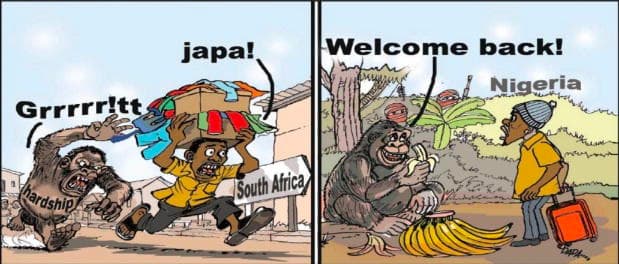 Cartoon: ‘Bros, welcome back to home of monkey business’