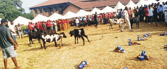 Oke-Aku, a celebration that unites Ezza people of Ebonyi