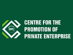 CPPE seeks development finance overhaul to bridge N50trn real sector funding gap