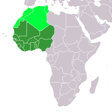 Governance not guns will secure West Africa