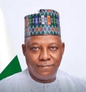 VP 60: Northern senators hail Shettima’s service, resilience