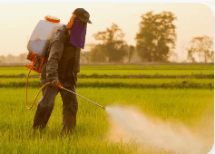 Nigeria ranks 2nd in acute pesticide poisoning in West Africa — Study