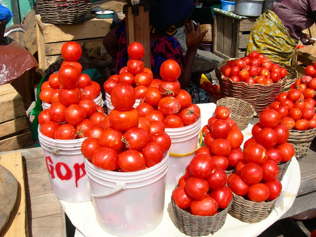 Fresh tomatoes become biggest driver of inflation in August
