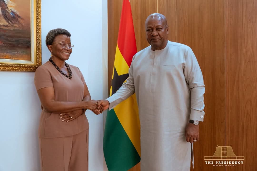 Advancing Africa’s Health Sovereignty: Mahama meets with global health leaders