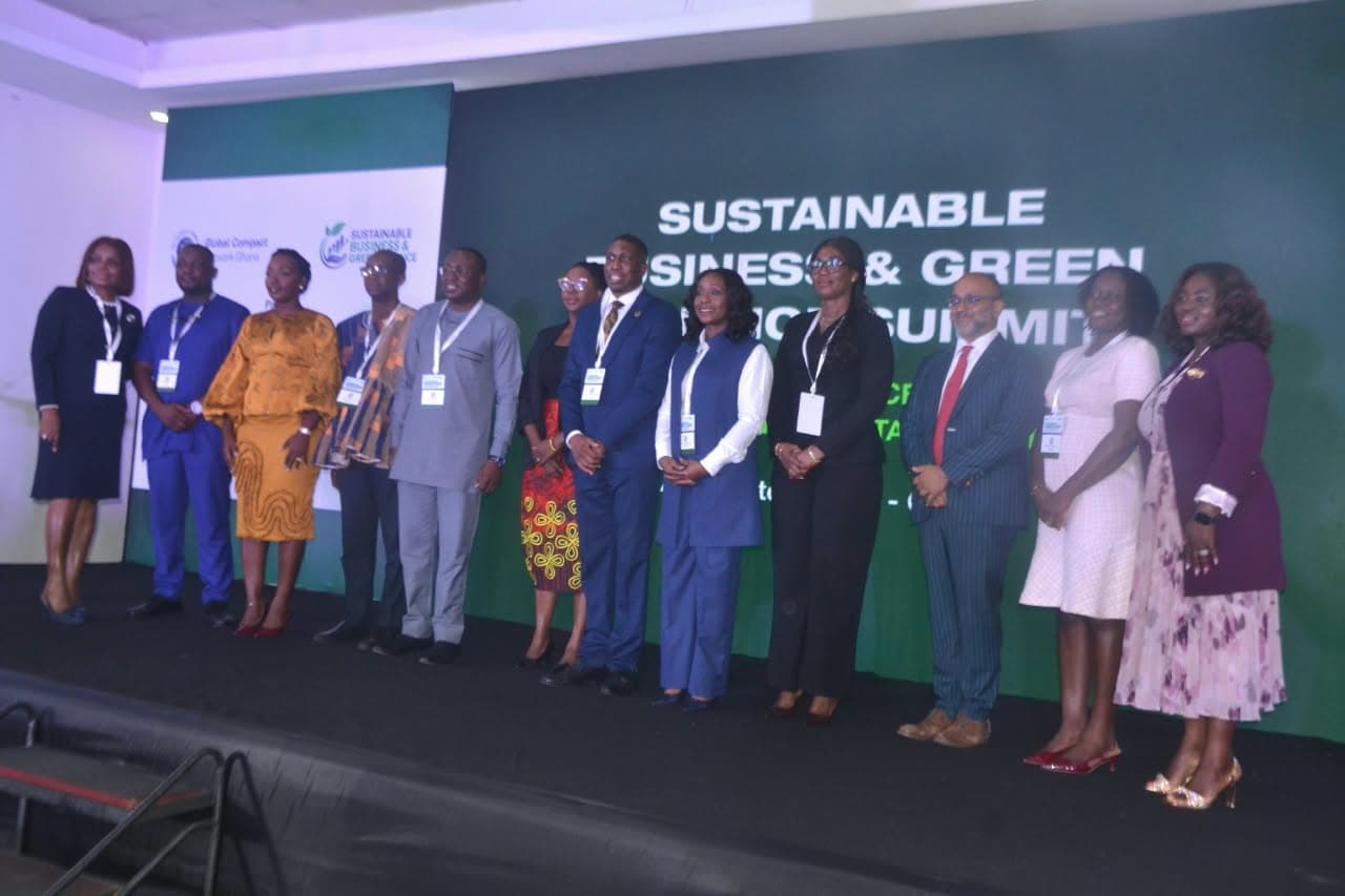 Private capital must lead Ghana’s green industrial push – Finance leaders