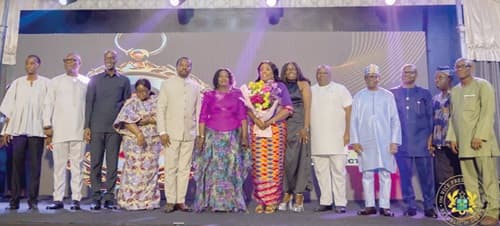 Renew commitment to professionalism - Vice-President urges civil service staff