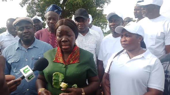 Gov't moves to revive cotton production in Northern Region to feed textile industry