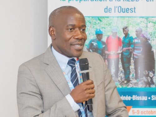 Ghana’s $21m forest-finance success offers road map for West Africa — Forestry Commission
