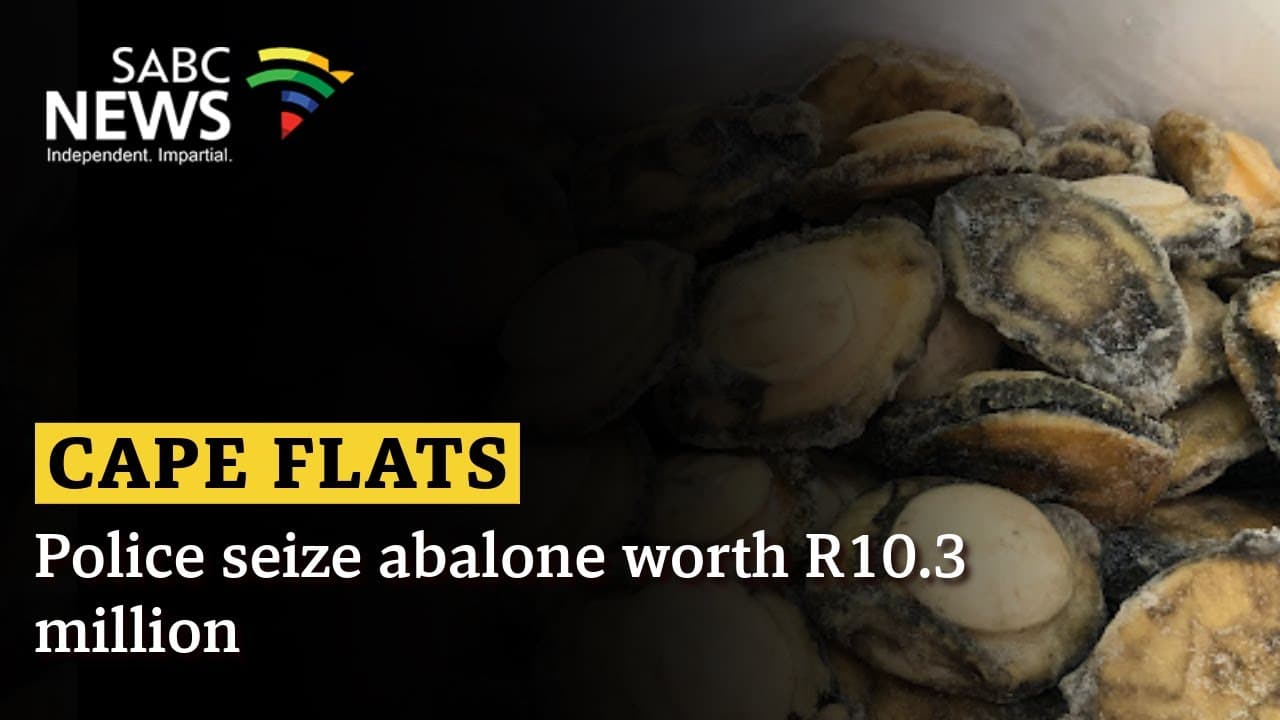 1400 units of abalone seized, 27-year-old arrested in CTN
