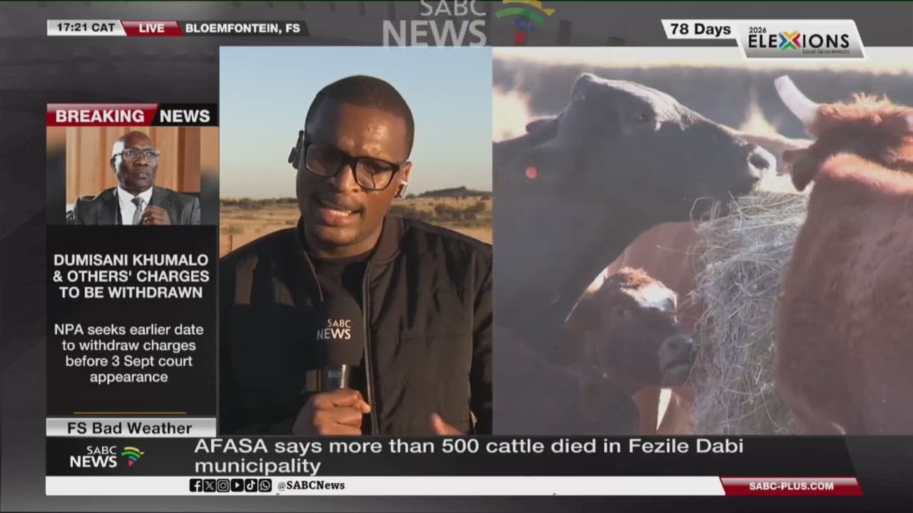 Association wants death of 500 cattle in FS declared a disaster