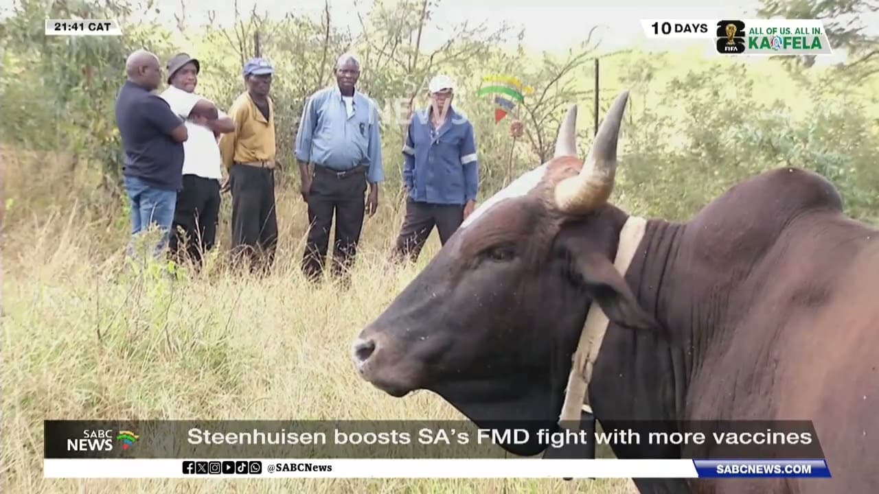 Free State confirms eight new foot and mouth disease cases