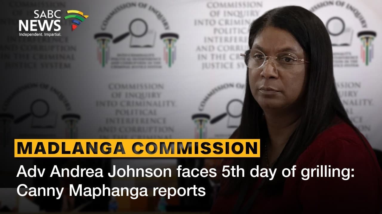 Coordinated attack on Mkhwanazi, Khumalo appears plausible: Johnson