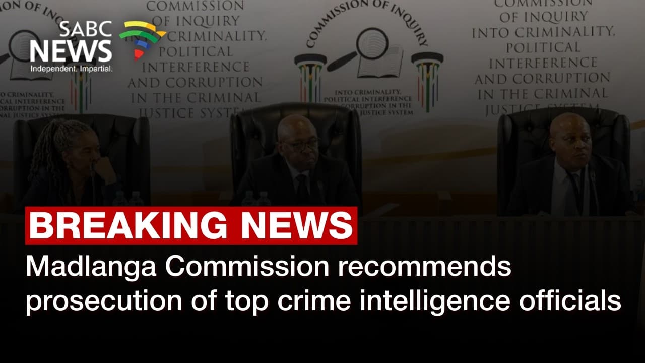 Madlanga report urges action against crime intelligence officials